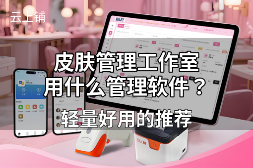 皮肤管理工作室用什么管理软件？轻量好用的推荐